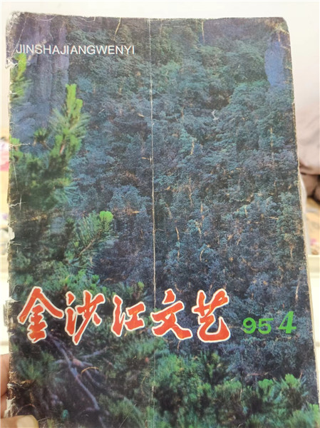 第一篇小说《小鸟》发表在1995年第4期《金沙江文艺》