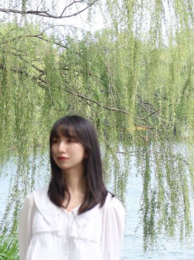 陈 登