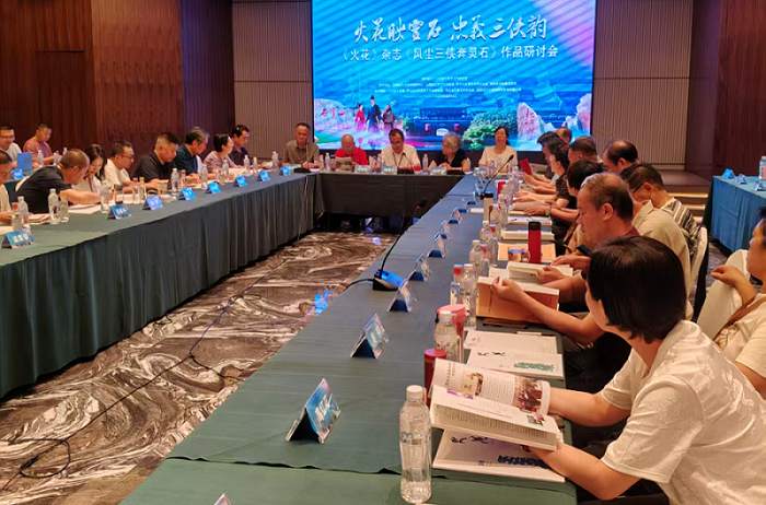 《风尘三侠奔灵石》研讨会