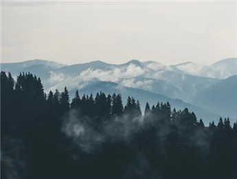 为山作注