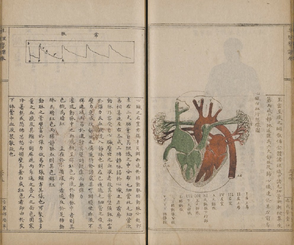 古籍阅读与研究迈入智慧化新阶段