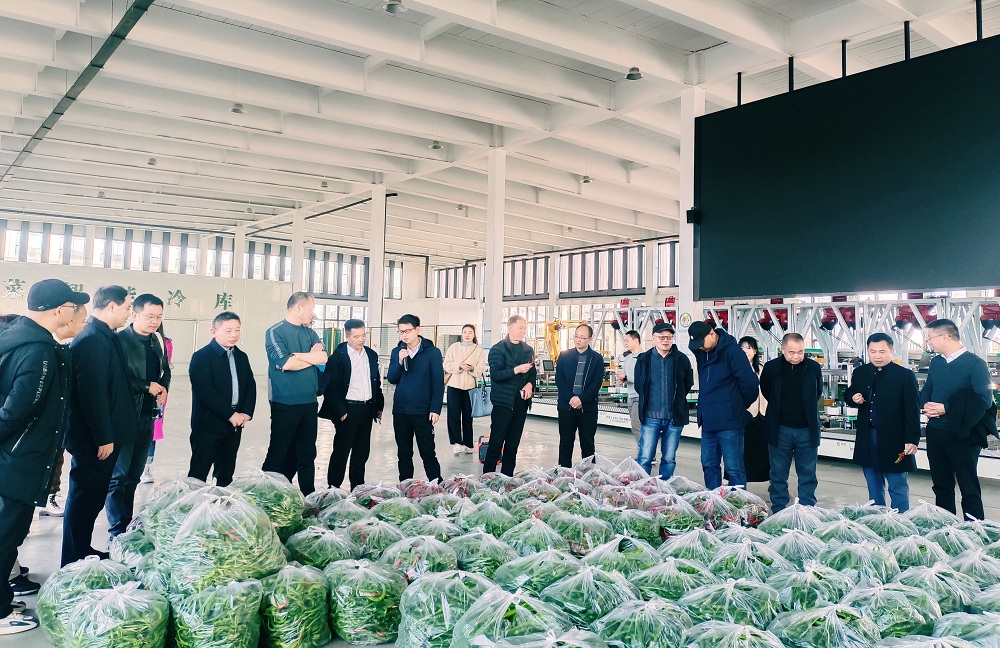 2025年2月12日,采风团一行在长胜镇乡村振兴示范区参观