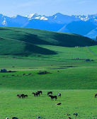 王计兵：终因普通而不凡