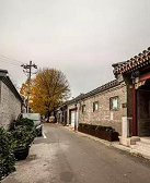 杜卫东：西裱褙胡同23号