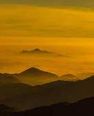 梅赞:登蛇山辞蛇年