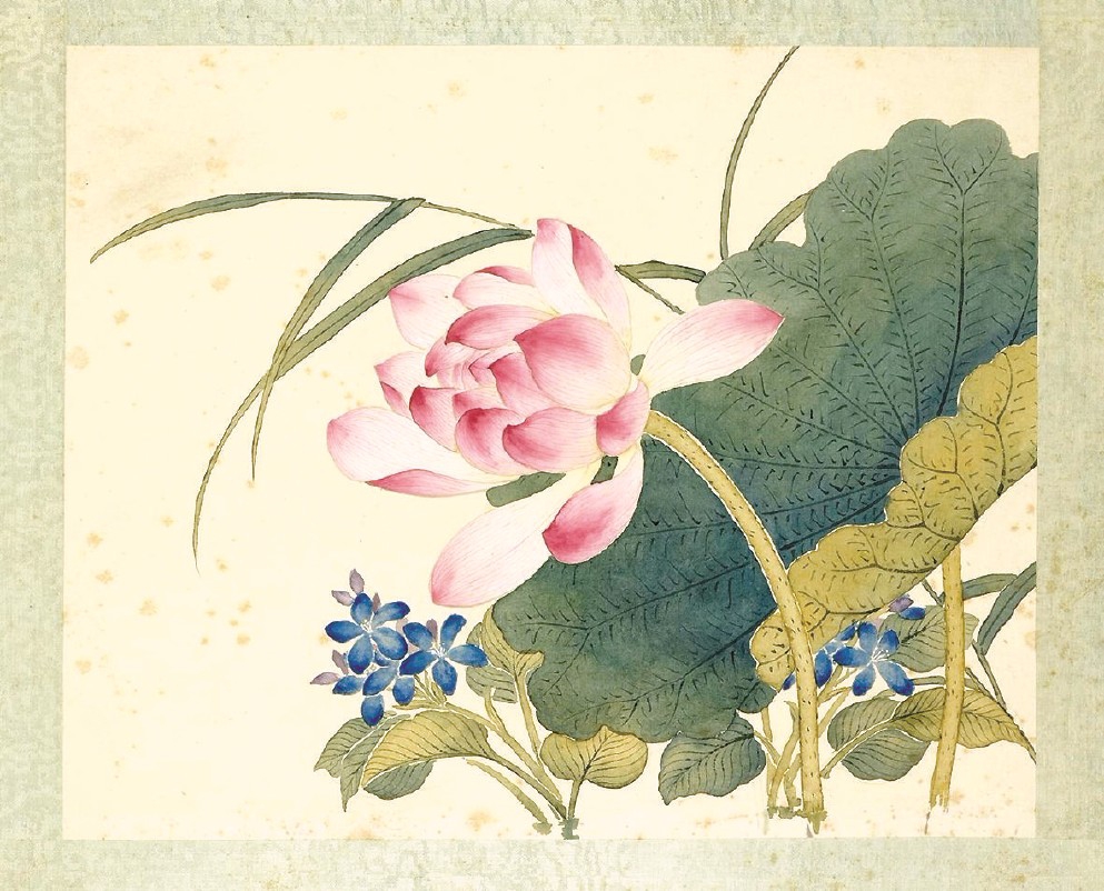 清沈振麟《十二月花神册》之莲花