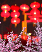 杨辉素：过年的幸福时光