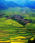 傅炜如：马海之歌