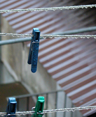 马平：晾衣绳上的露珠