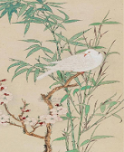 徐刚：梅竹双清