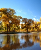索・额尔登：青沟恋
