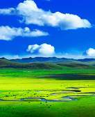 刘照进:旷野中生长