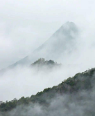 张扬：空山闻长啸