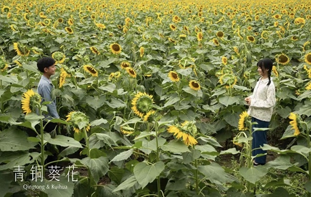 曹文轩谈电影《青铜葵花》：悲悯与泪水，是世界前进的强大动力