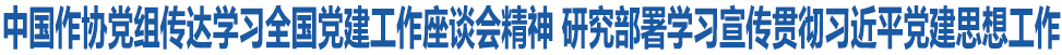 中国作协党组传达学习全国党建工作座谈会精神 研究部署学习宣传贯彻习近平党建思想工作