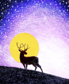 李达伟:在黑夜奔走的鹿