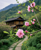 李达伟:春天已过