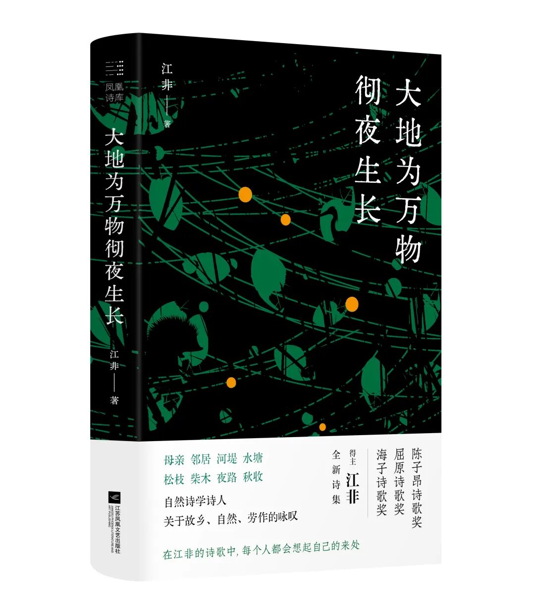 《大地为万物彻夜生长》，江非著，江苏凤凰文艺出版社，2025年6月