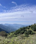 张学东:南山有诗碑