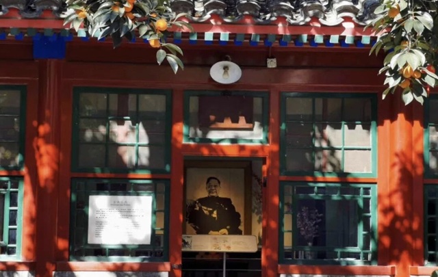秋日在丹柿小院：枝头红柿灿如花，像老舍从天上寄回信