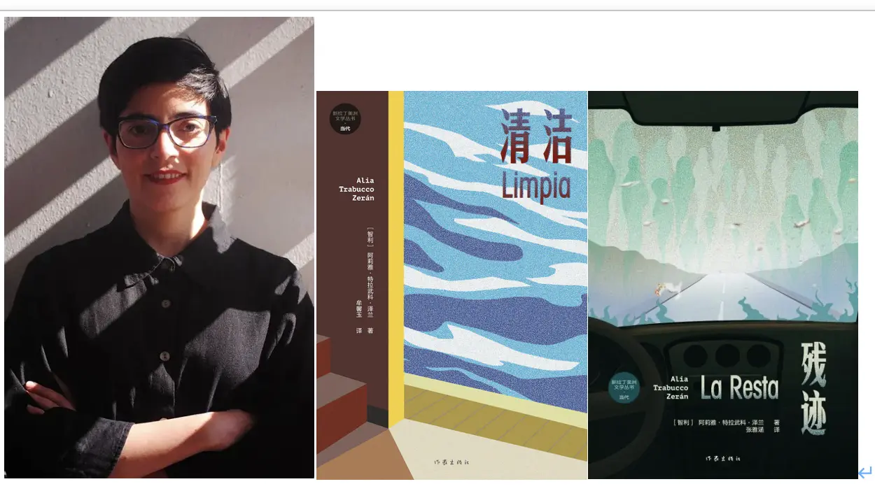 特拉武科·泽兰的《清洁》