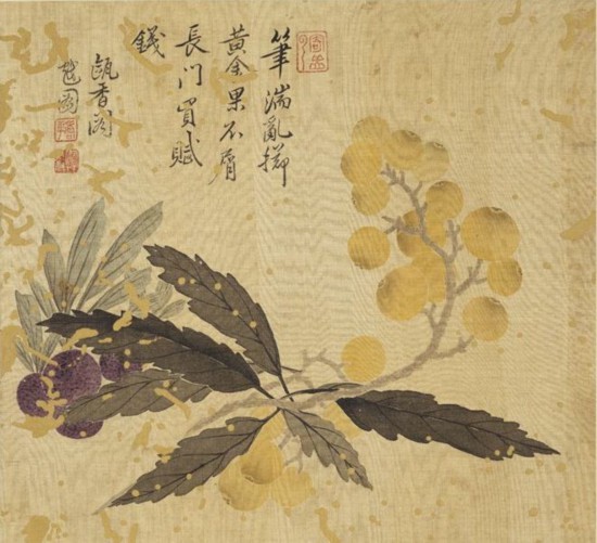 清 恽寿平  枇杷 本幅选自台北故宫博物院藏恽寿平“画花卉册”