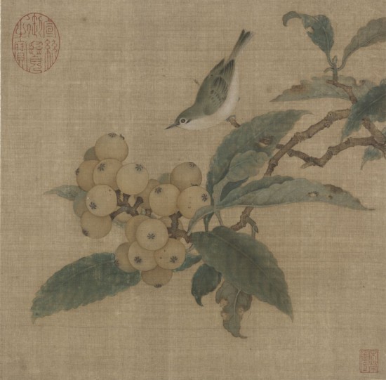 宋 林椿  枇杷山鸟图 页 故宫博物院藏