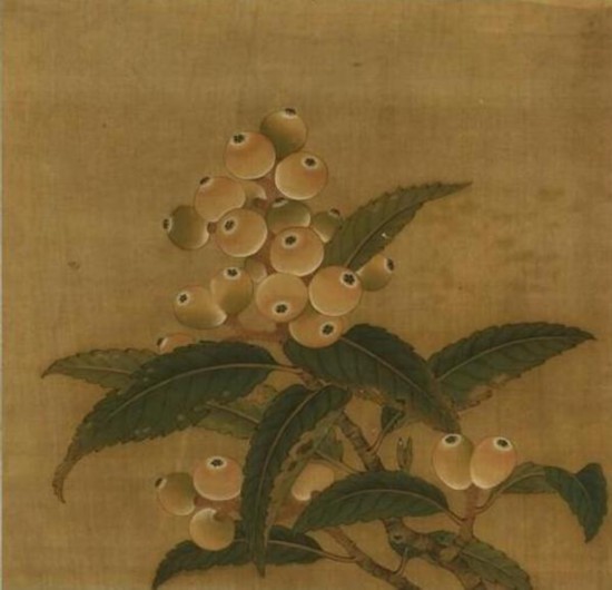 清 无款  枇杷 本幅选自台北故宫博物院藏“花鸟画册”